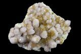 Cactus Quartz (Amethyst) Crystal Cluster - South Africa #132531-1